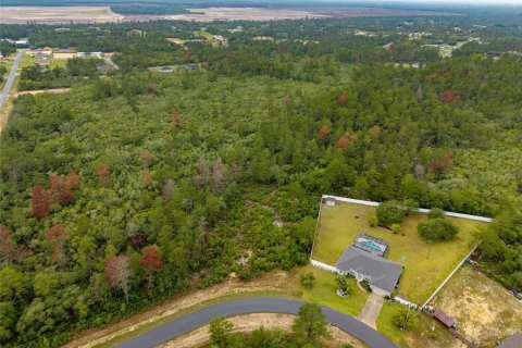 Land in Ocala, Florida № 1765718 - photo 2