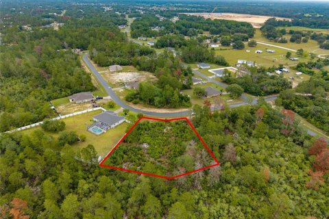 Land in Ocala, Florida № 1765718 - photo 5