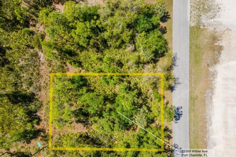 Land in Punta Gorda, Florida № 2161647 - photo 3