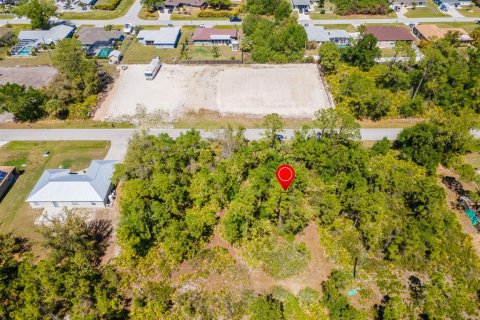 Land in Punta Gorda, Florida № 2161647 - photo 6