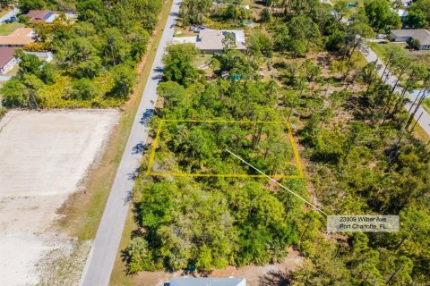 Land in Punta Gorda, Florida № 2161647 - photo 2