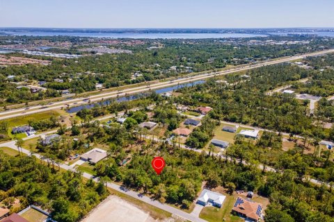 Land in Punta Gorda, Florida № 2161647 - photo 13