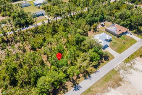 Land in Punta Gorda, Florida № 2161647 - photo 9
