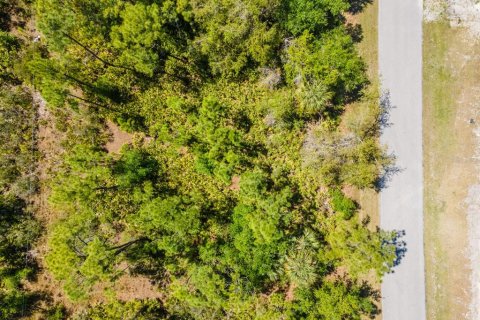 Land in Punta Gorda, Florida № 2161647 - photo 10