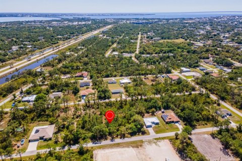 Land in Punta Gorda, Florida № 2161647 - photo 12
