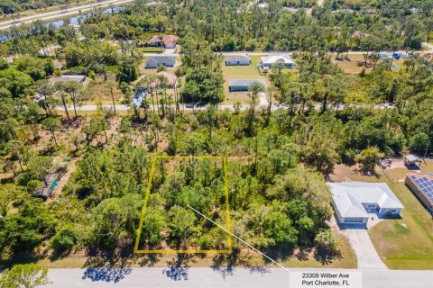 Land in Punta Gorda, Florida № 2161647