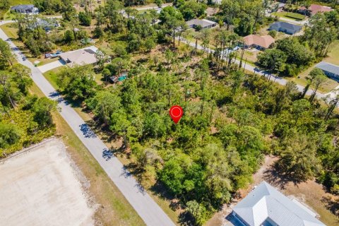 Land in Punta Gorda, Florida № 2161647 - photo 4