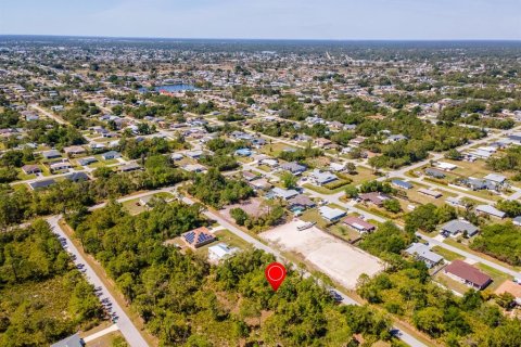Land in Punta Gorda, Florida № 2161647 - photo 16