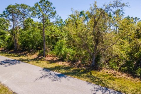 Land in Punta Gorda, Florida № 2161647 - photo 11