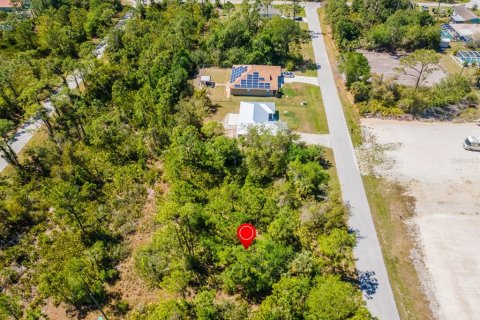 Land in Punta Gorda, Florida № 2161647 - photo 8