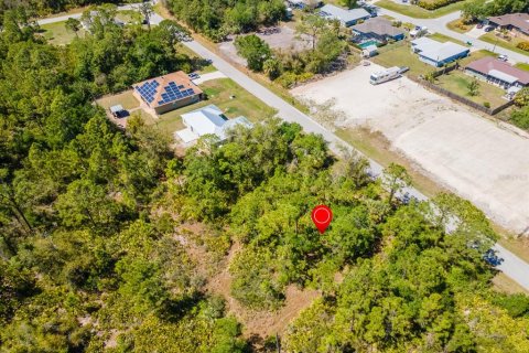 Land in Punta Gorda, Florida № 2161647 - photo 7