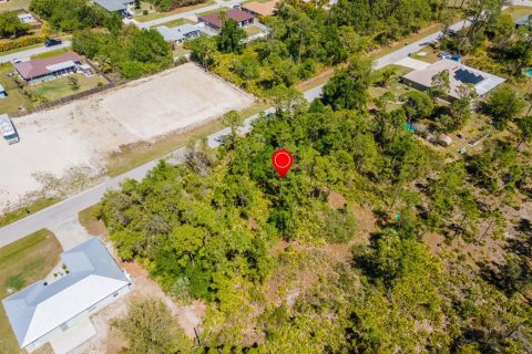 Land in Punta Gorda, Florida № 2161647 - photo 5