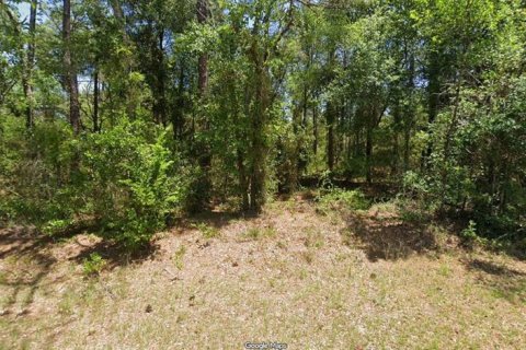 Land in Dunnellon, Florida № 2159430
