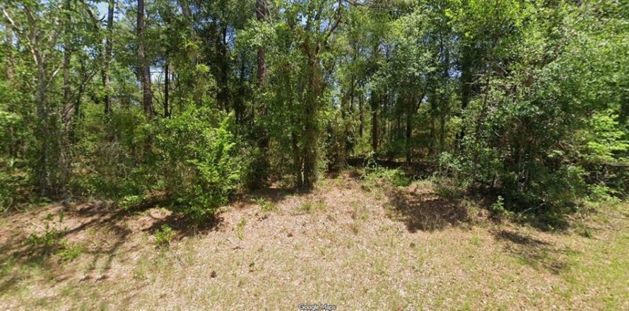 Land in Dunnellon, Florida № 2159430