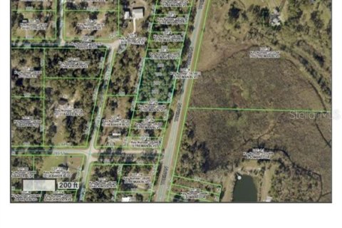 Immobilier commercial à vendre à Webster, Floride № 2095827 - photo 20