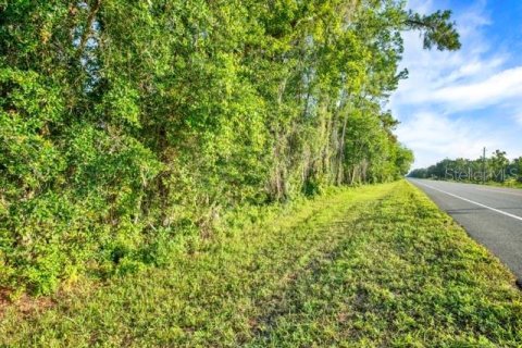 Immobilier commercial à vendre à Webster, Floride № 2095827 - photo 8