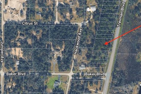 Immobilier commercial à vendre à Webster, Floride № 2095827 - photo 4