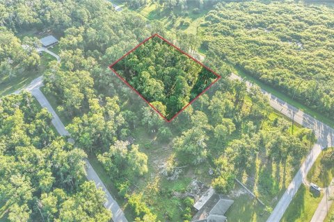 Immobilier commercial à vendre à Webster, Floride № 2095827 - photo 6