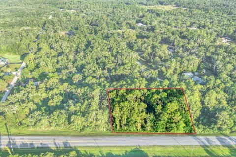 Immobilier commercial à Webster, Floride № 2095827