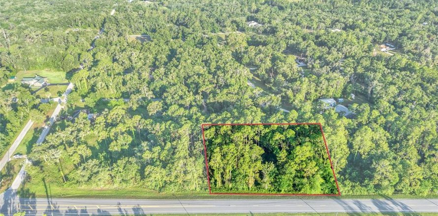 Immobilier commercial à Webster, Floride № 2095827