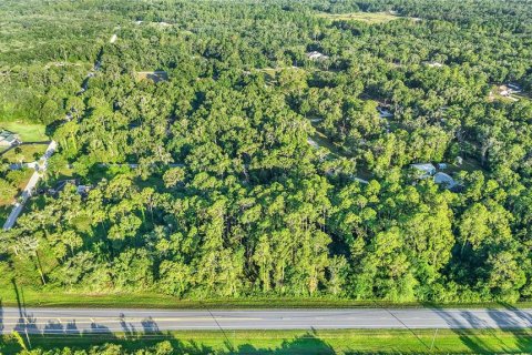 Immobilier commercial à vendre à Webster, Floride № 2095827 - photo 12