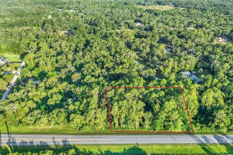 Immobilier commercial à vendre à Webster, Floride № 2095827 - photo 2