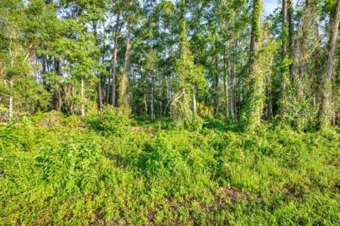 Immobilier commercial à vendre à Webster, Floride № 2095827 - photo 3