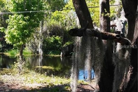 Land in Haines City, Florida № 1767247 - photo 7