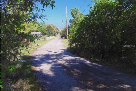 Land in Haines City, Florida № 1767247 - photo 2