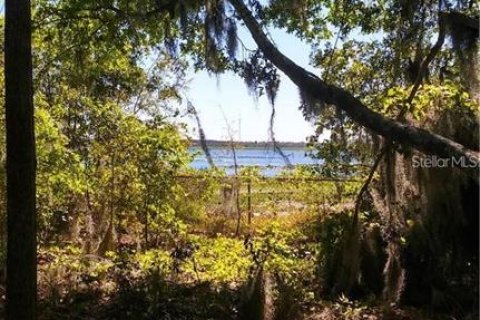 Land in Haines City, Florida № 1767247 - photo 10