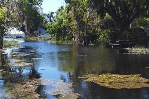 Land in Haines City, Florida № 1767247 - photo 9