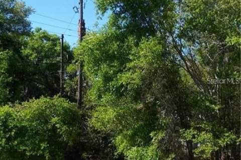 Land in Haines City, Florida № 1767247 - photo 6