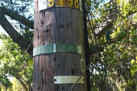 Land in Haines City, Florida № 1767247 - photo 4
