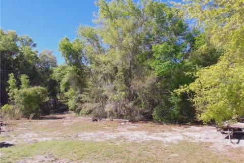 Land in Haines City, Florida № 1767247 - photo 1