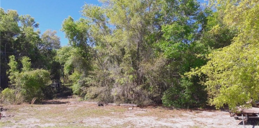 Land in Haines City, Florida № 1767247