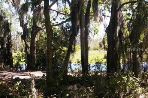 Land in Haines City, Florida № 1767247 - photo 11