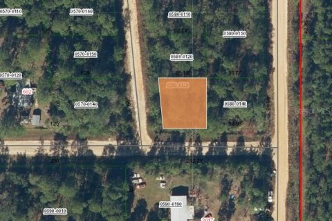 Land in Interlachen, Florida № 2161935