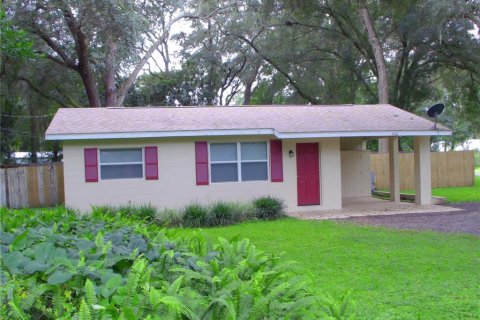 Villa ou maison à DeLand, Floride 1 chambre, 90.12 m2 № 2384033