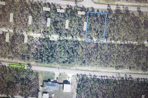 Terrain à Sebring, Floride № 2228889