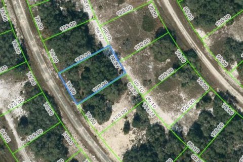 Land in Lake Placid, Florida № 2224008 - photo 2
