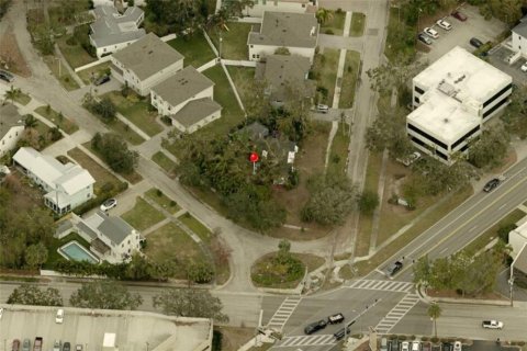 Land in Tampa, Florida № 2117106 - photo 3
