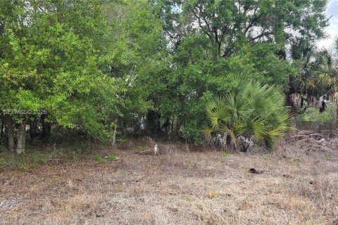 Terreno en venta en Clewiston, Florida № 2027476 - foto 16
