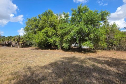 Terreno en venta en Clewiston, Florida № 2027476 - foto 12