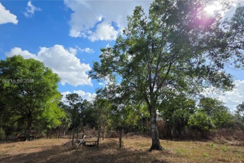 Terreno en venta en Clewiston, Florida № 2027476 - foto 10