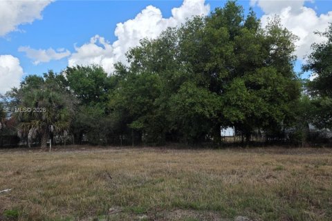 Terreno en venta en Clewiston, Florida № 2027476 - foto 14