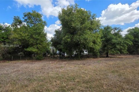 Terreno en venta en Clewiston, Florida № 2027476 - foto 9