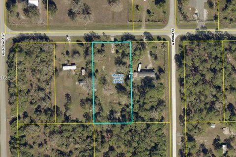 Terreno en venta en Clewiston, Florida № 2027476 - foto 2