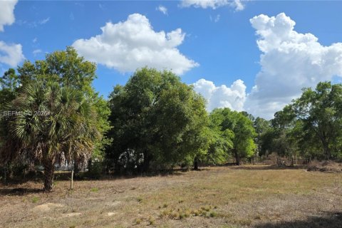 Terreno en venta en Clewiston, Florida № 2027476 - foto 3