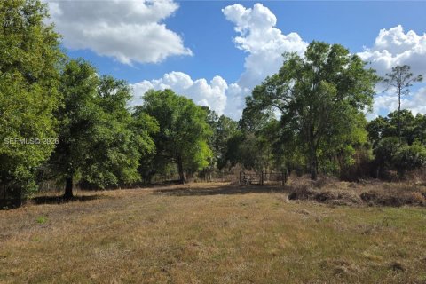 Terreno en venta en Clewiston, Florida № 2027476 - foto 4
