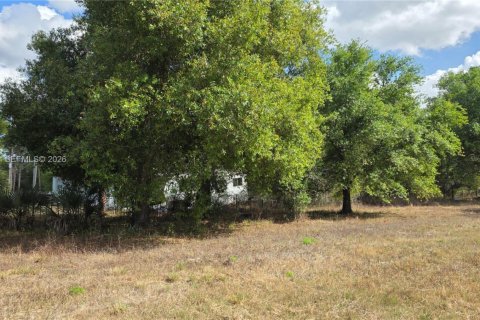 Terreno en venta en Clewiston, Florida № 2027476 - foto 5